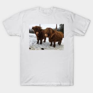 Scottish Highland Cattle Cow and Calf 1679 T-Shirt